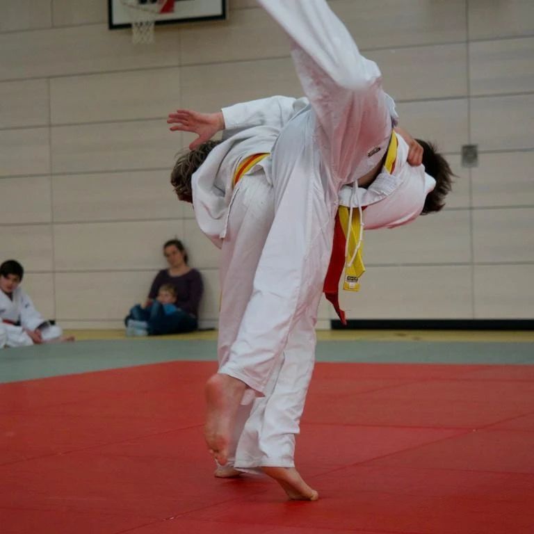 Wurf zum Ippon